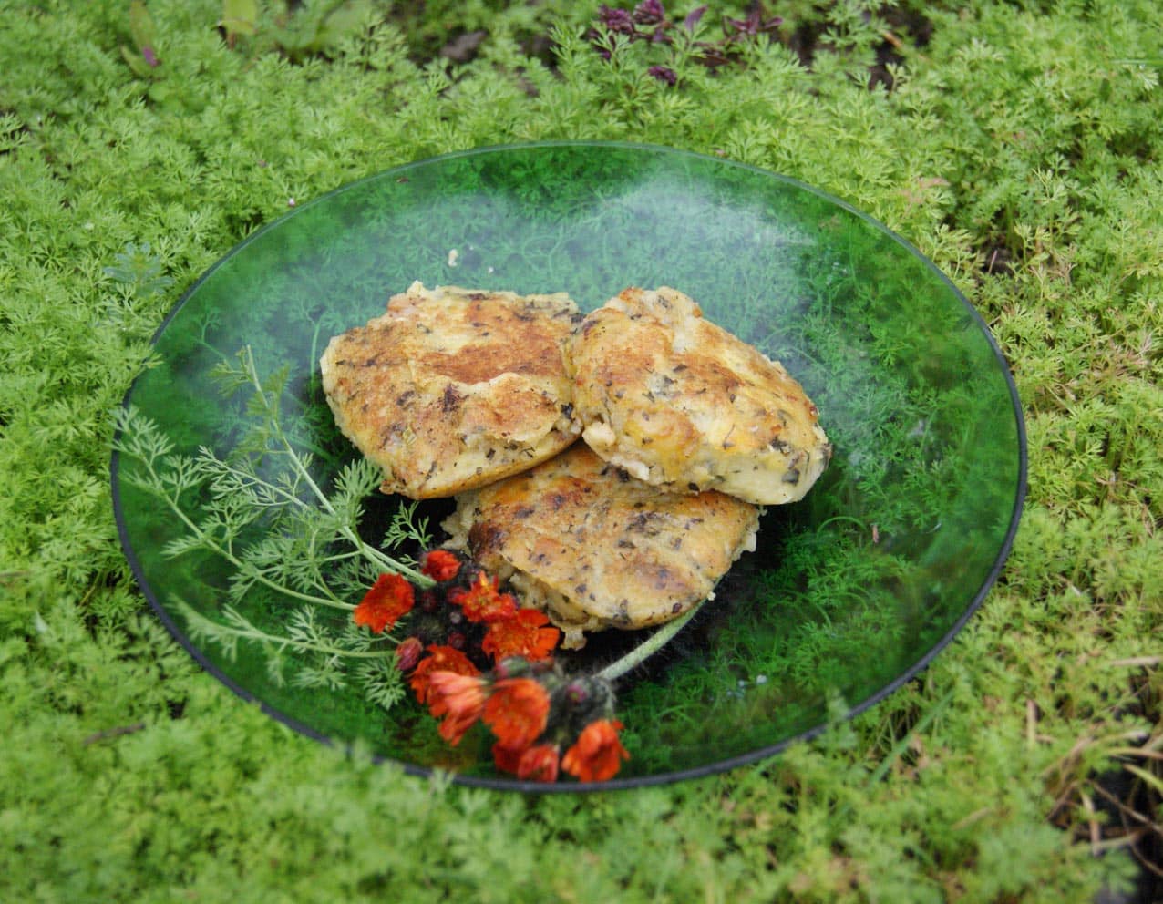 Samen Nadelkerbel Bio – Bild 6