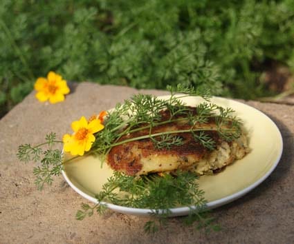 Samen Nadelkerbel Bio – Bild 5